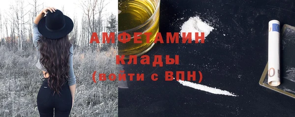ПСИЛОЦИБИНОВЫЕ ГРИБЫ Арсеньев
