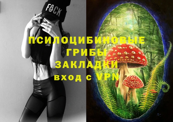 ПСИЛОЦИБИНОВЫЕ ГРИБЫ Арсеньев