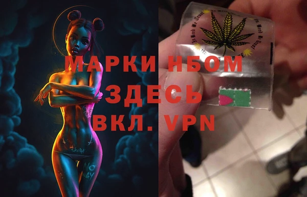 ПСИЛОЦИБИНОВЫЕ ГРИБЫ Арсеньев
