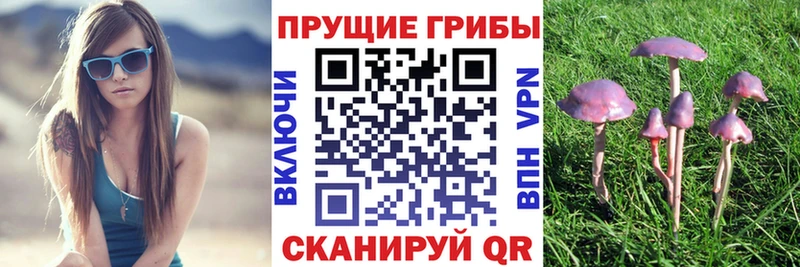 хочу Жирновск Галлюциногенные грибы мухоморы